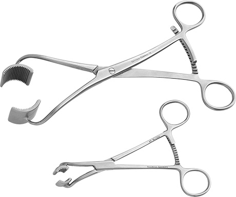 Bargo Bone Holding Clamp