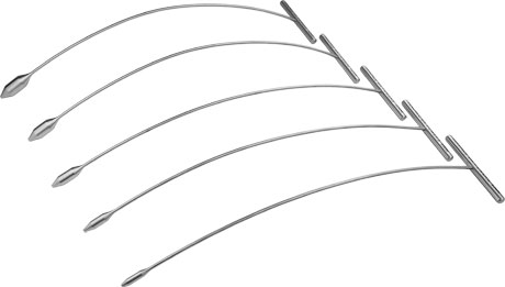 Powers Femoral Sounds