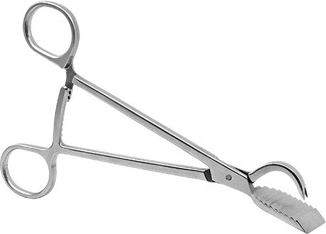 Proximal Tibia ResectionShark Tooth Clamp