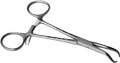 Lewin Small Bone Clamp